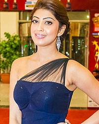 SIIMA 2013