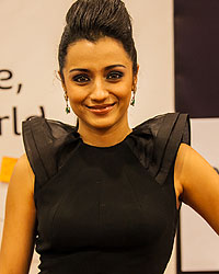 SIIMA 2013