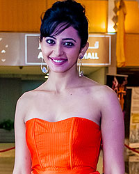 SIIMA 2013