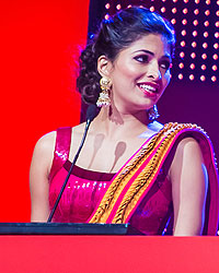 SIIMA 2013