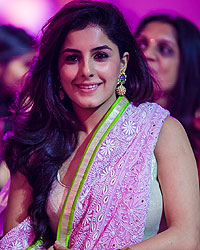 SIIMA 2013