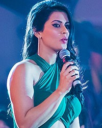 SIIMA 2013