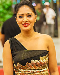 SIIMA 2013