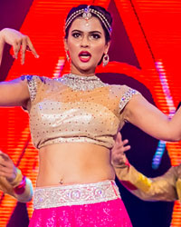 SIIMA Awards 2014