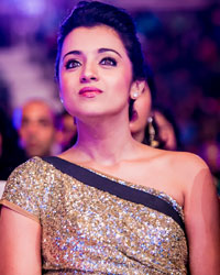 SIIMA Awards 2014