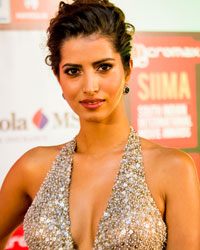 SIIMA Awards 2014