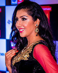 SIIMA Awards 2014