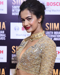 SIIMA Awards 2017