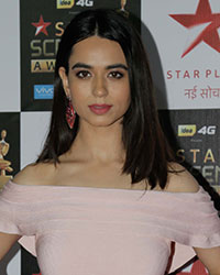 Star Screen Awards Red Carpet 2017