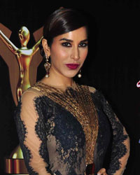 Stardust Awards 2014