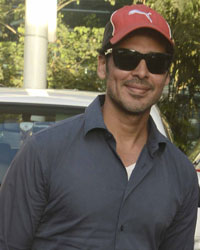 Dino Morea