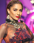 Ritu Kumar show at the grand finale of Wills Lifestyle India Fashion Week, Spring-Summer 2013