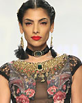 Ritu Kumar show at the grand finale of Wills Lifestyle India Fashion Week, Spring-Summer 2013