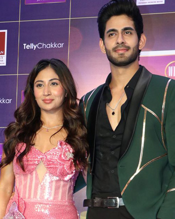 The Indian Telly Awards 2025