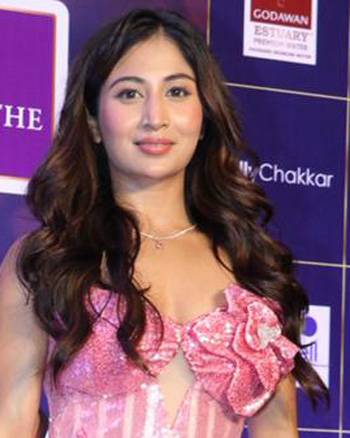 The Indian Telly Awards 2025