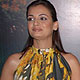 Dia Mirza, Virender Sehwag and Neil Nitin Mukesh