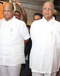 Sharad Pawar with his wax model