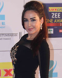 Zee Cine Awards 2014