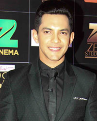 Aditya Narayan