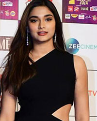 Zee Cine Awards 2024