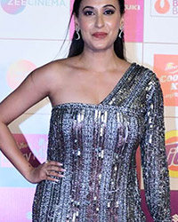 Zee Cine Awards 2024