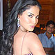 Veena Malik at Blenders Pride Punjab Fashion Week