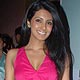 Geeta Basra at Celebrities at LFW