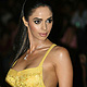 Mallika Sherawat at Celebrity Guests at LFW