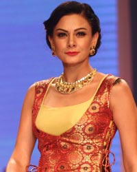 Aanchal Kumar at Dipti Amisha Show at IIJW 2014