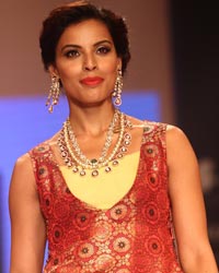 Deepti Gujral at Dipti Amisha Show at IIJW 2014