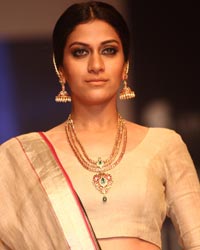 Ganjam Show at IIJW 2014 Ganjam Show at IIJW 2014