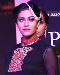 Gitanjali Show at IIJW 2014