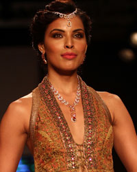 Gitanjali Show at IIJW 2014