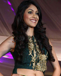 Global Peace Intiative 2014