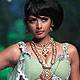 IIJW-2010