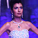 IIJW-2010