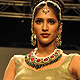 IIJW-2011 IIJW-2011