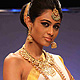 IIJW-2011