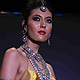 IIJW-2011