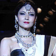 IIJW-2011