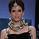 IIJW-2011