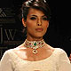 Deepti Gujral at IIJW-2011