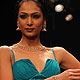 Shamita Singha at IIJW-2011