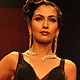 IIJW-2011