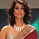 IIJW-2011