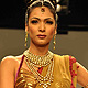 IIJW-2011