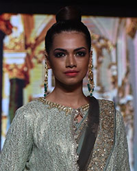 India Beach Fashion Week 2017