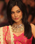 Amrita Rao at India International Jewellery Week 2012