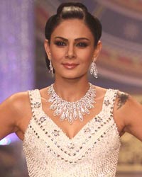 Aanchal Kumar at India International Jewellery Week 2014 Finale