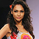 Shamita Singha at LFW Summer Resort-2011